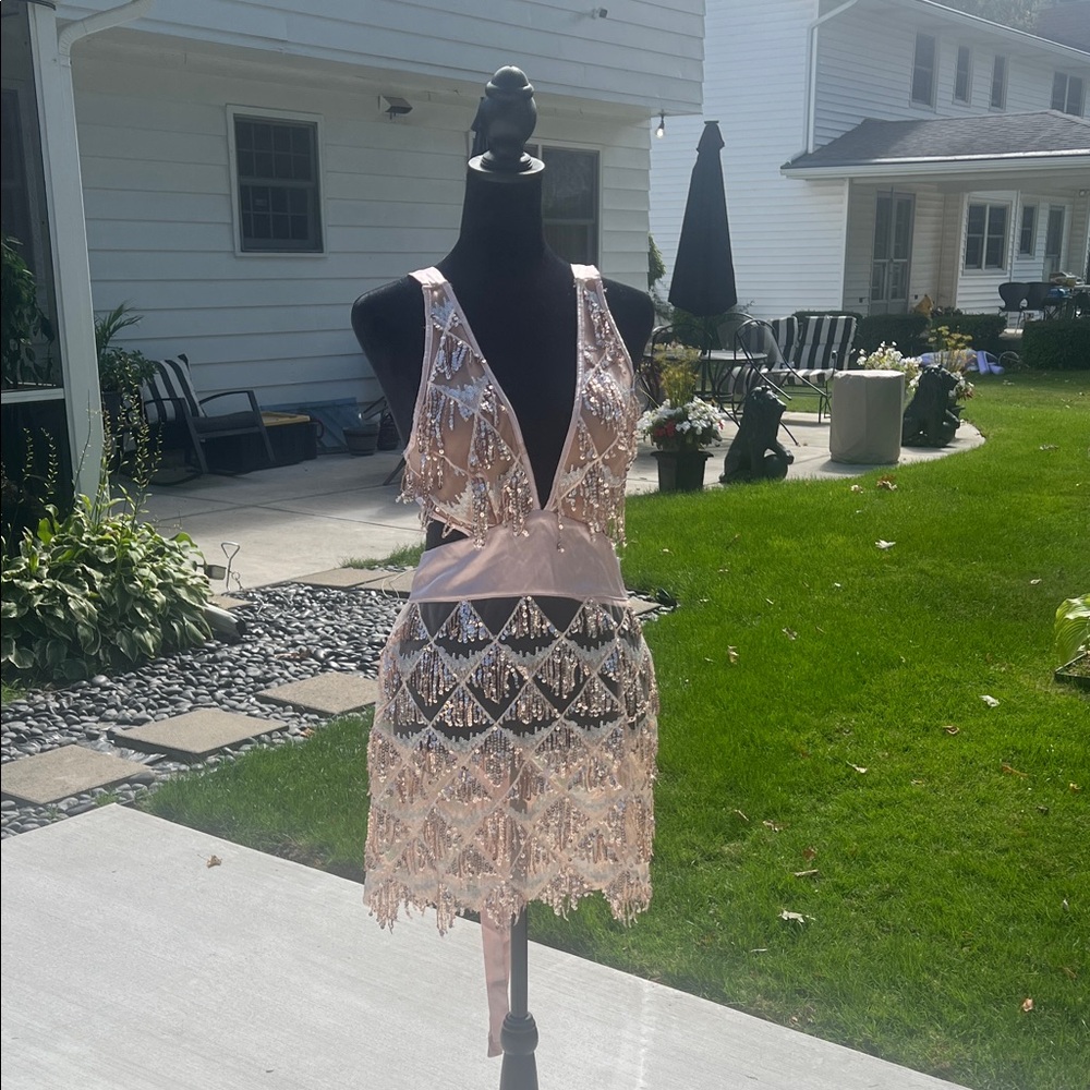Glamorous Pink Sequin Fringe Dress